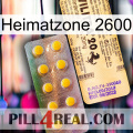 Home Zone 2600 new06